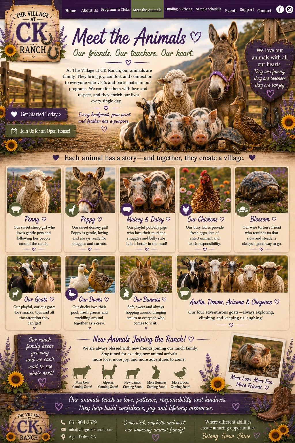 Meet the animals at The Village at CK Ranch, including Penny, Poppy, Maisey and Daisy, chickens, Blossom, goats, ducks and bunnies.